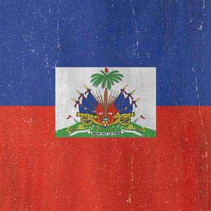 Haiti Flag Distressed Fire TV Cube Skin